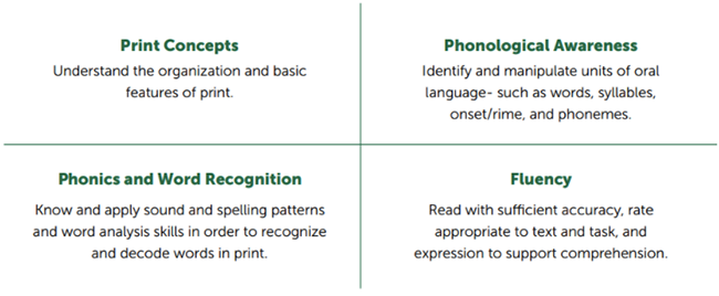 Essential Instructional Practices in Early Literacy: Grades K to 3